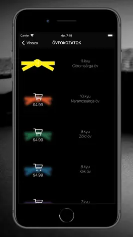 Game screenshot ZenBuKan Kempo apk