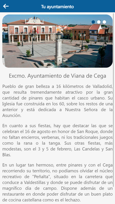 Ayuntamiento de Viana de Cega Screenshot