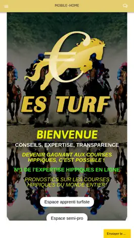 Game screenshot ES TURF mod apk