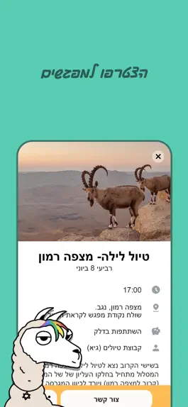 Game screenshot לוזית - כל המפגשים הגאים apk