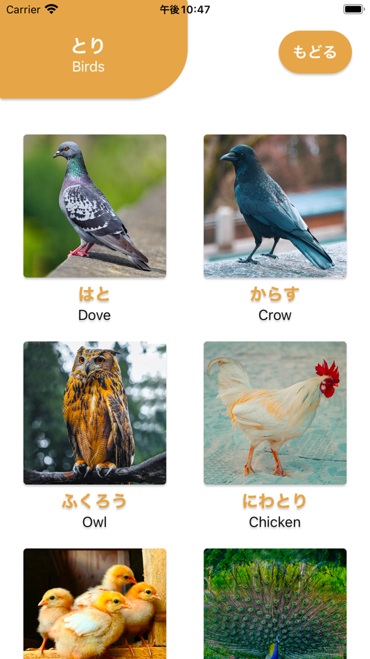 #4. はじめてのずかん (iOS) 由: Tetsuya Asano