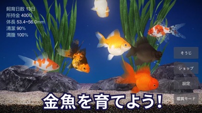 金魚育成アプリ「ポケット金魚」 screenshot1