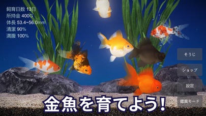 金魚育成アプリ「ポケット金魚」のおすすめ画像1