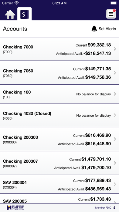 Empire State Bank Business Screenshot