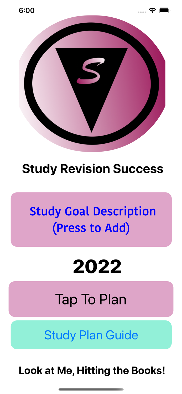 Study Revision Success