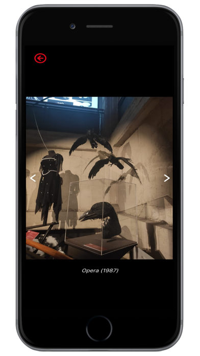 Museo Cinema Torino Screenshot