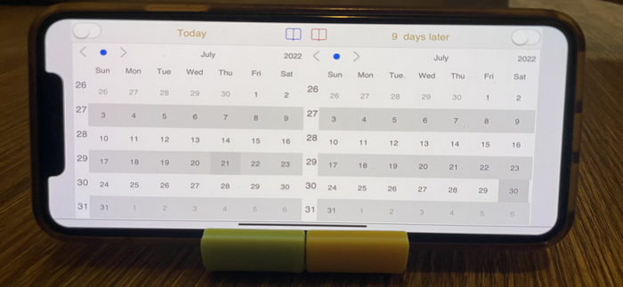 Dual Calendar - Day Counter