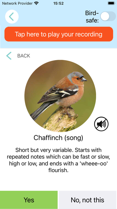 ChirpOMatic - Birdsong Europe Screenshot