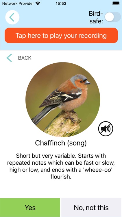 ChirpOMatic - Birdsong Europe