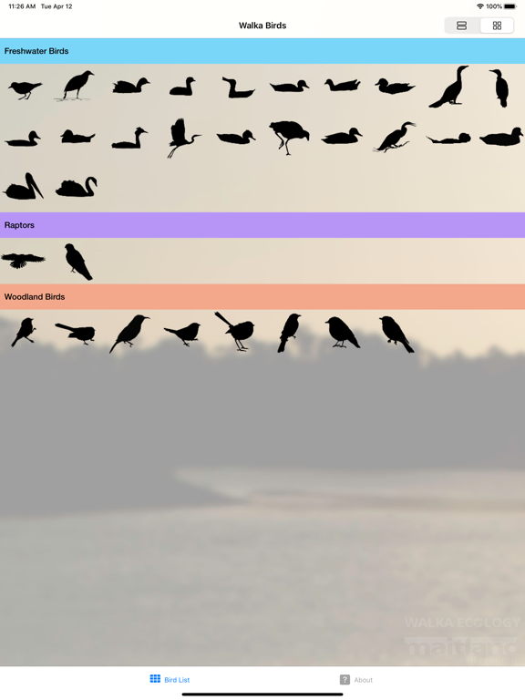 Screenshot #5 pour Walka Birds