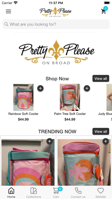 Pretty Please Broad Boutique Screenshot