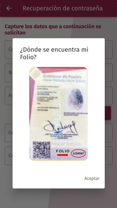 Licencia Digital Puebla Screenshot