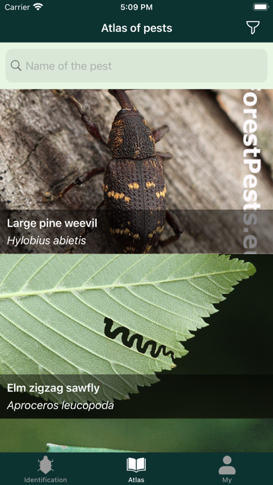 Forest Pests Screenshot