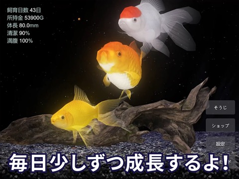 金魚育成アプリ「ポケット金魚」のおすすめ画像3