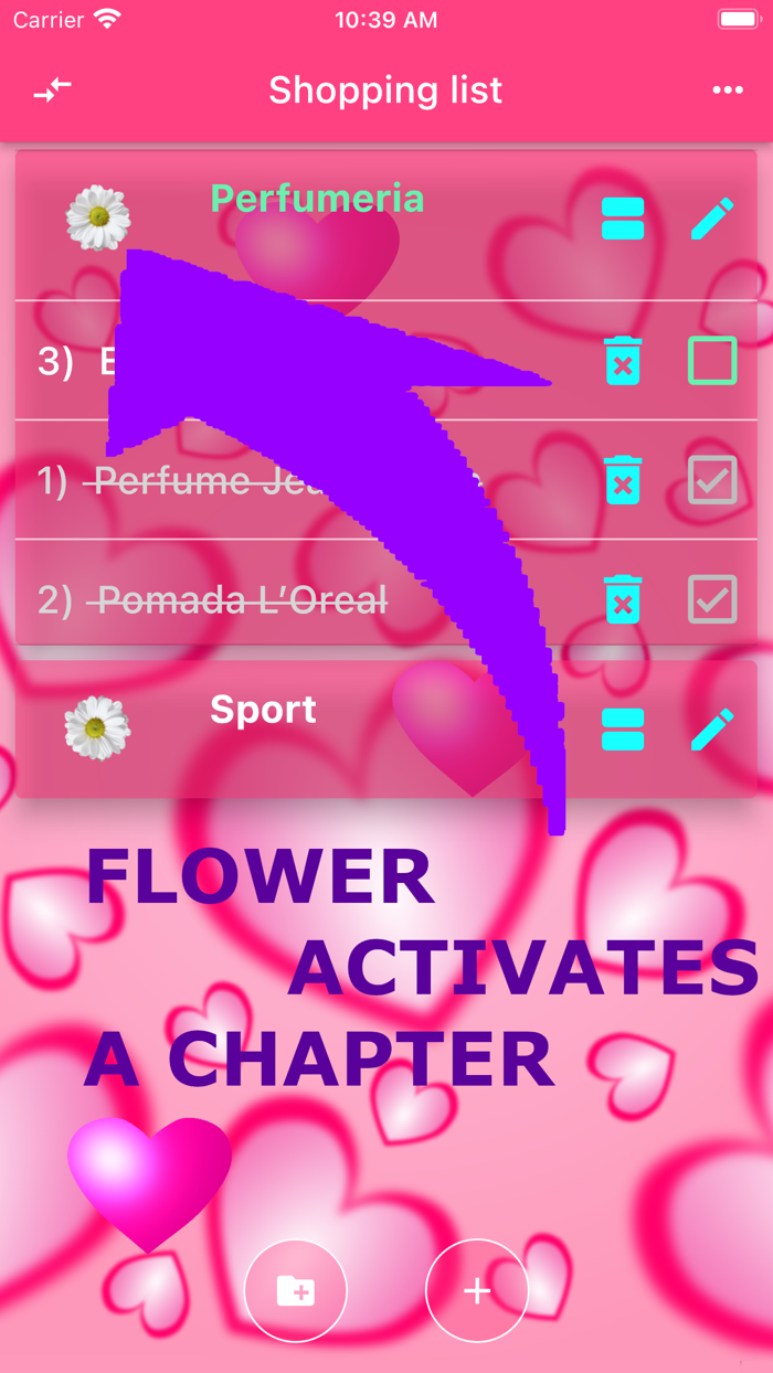 Cute princess shopping list