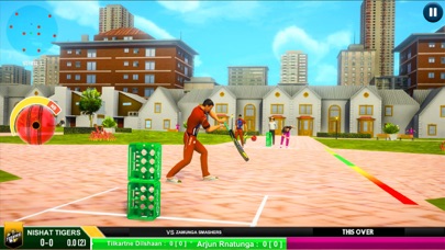 Street Cricket Championship Screenshot