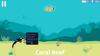 OrcinUS: Orca Pod Rescue Screenshot