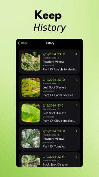 Plant Disease Identifier AI Screenshot