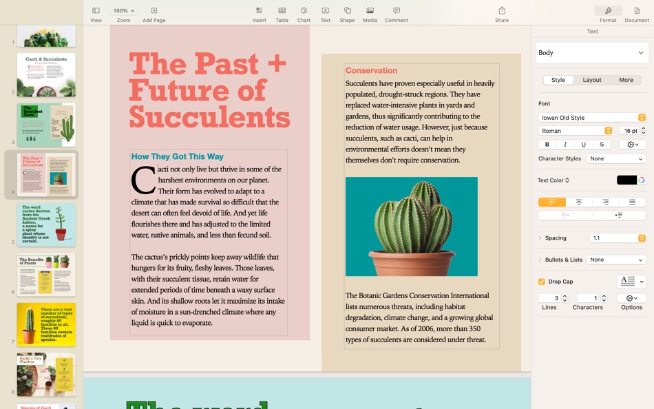 #9. Pages (macOS) Av: Apple