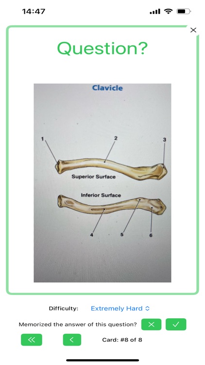 CamelliaFlashcard screenshot-7