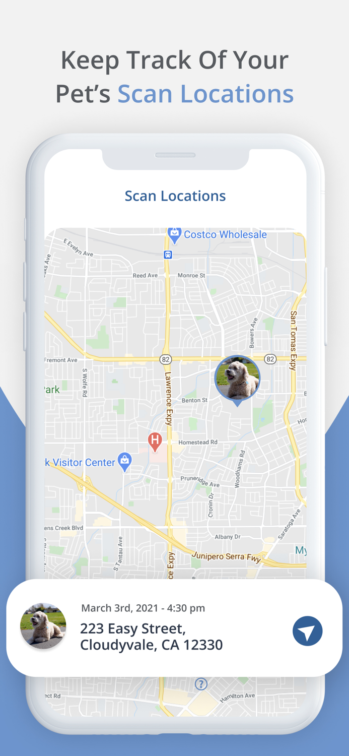 Otto – For Pet Parents