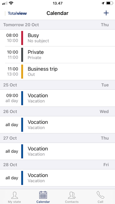 Totalview Screenshot