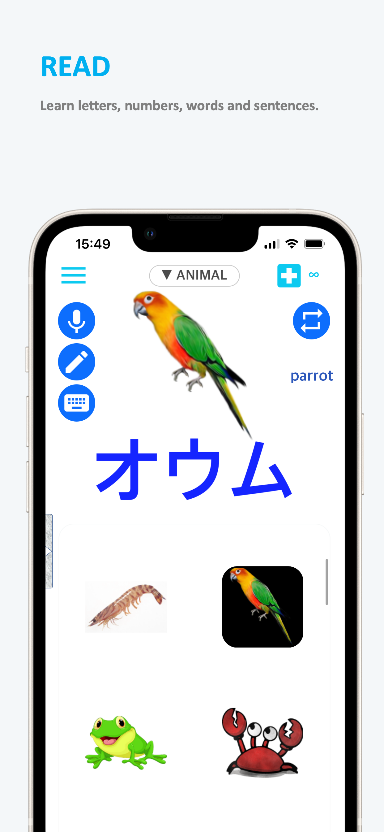 Emme Japanese