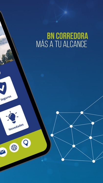 BN Seguros