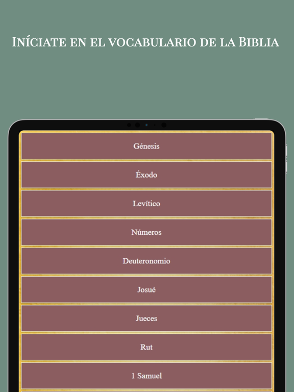 Diccionario Hebreo Bíblico iPad screenshot 3 - Book app