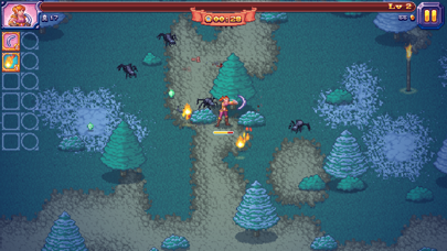 Darkness Survivors Screenshot