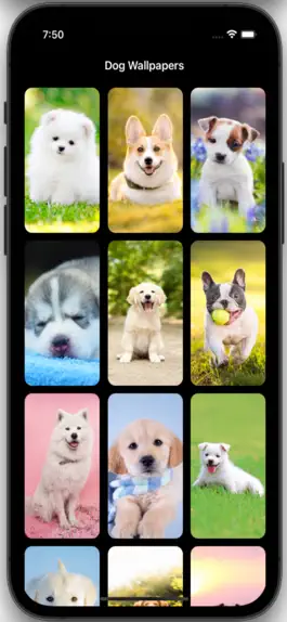 Game screenshot Dog Wallpapers HD mod apk