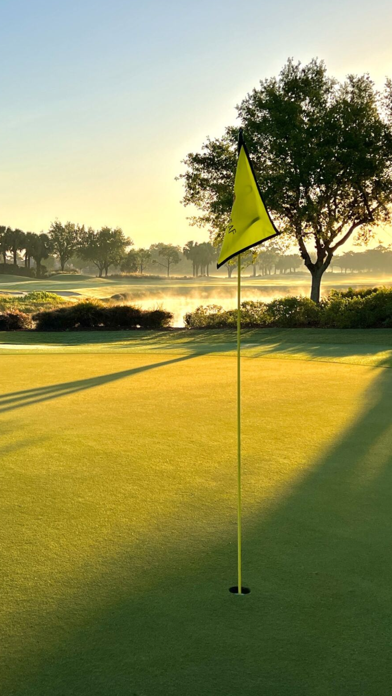 Copperleaf GC Screenshot