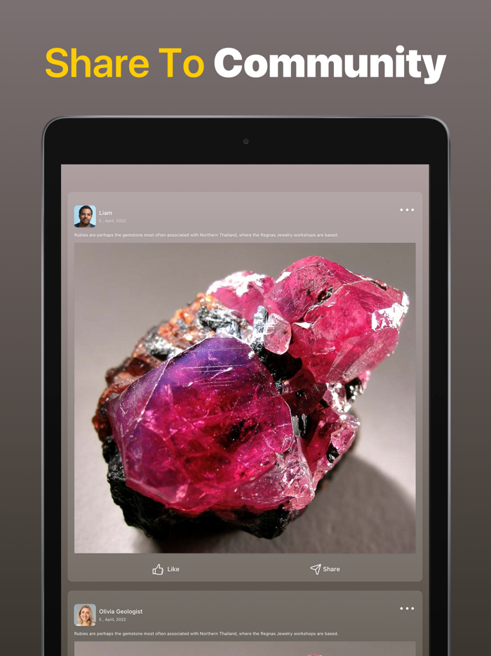 Stone Identifier Rock Scanner