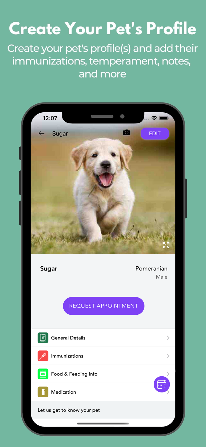 Playful Paws Pet Resort