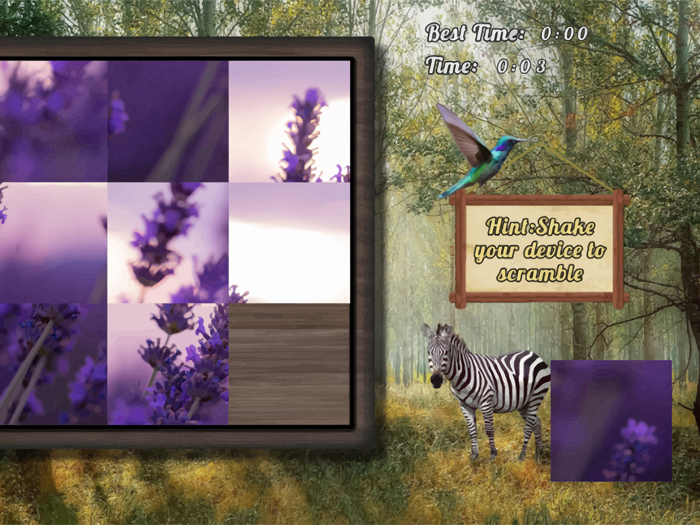 Famous Sliding Puzzle Nature