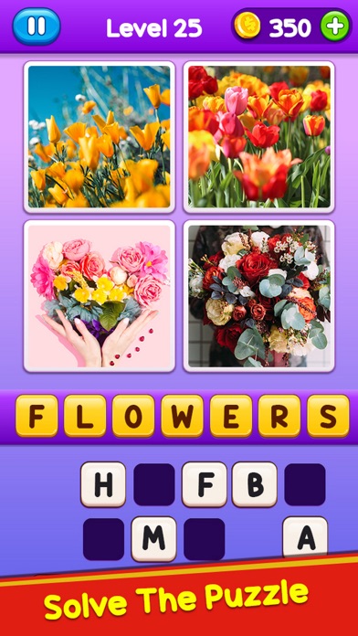 Riddle Puzzle & 4 Pics 1 Word Screenshot