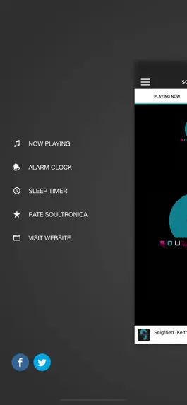 Game screenshot SOULTRONICA hack