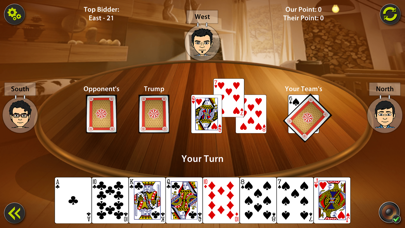 29 Card Game Pro Screenshot