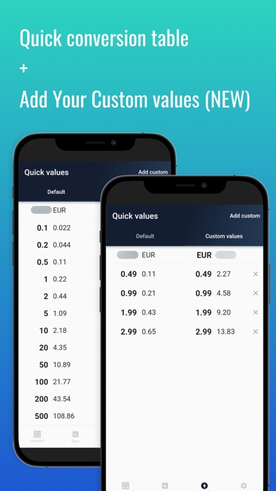 Fast Indian Rupee converter Screenshot