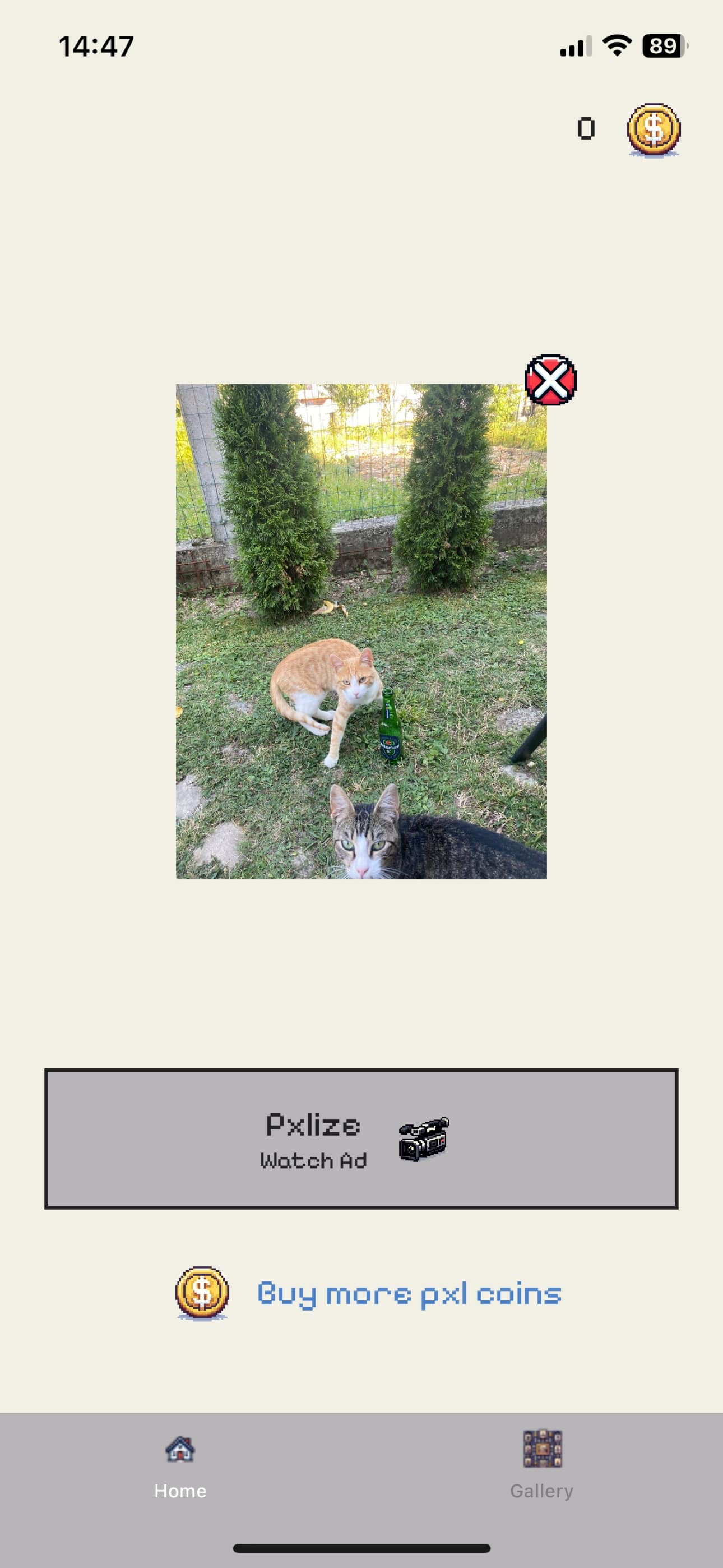 Pxlize AI
