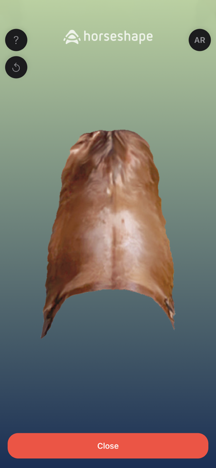 horseshape smart3Dscan screenshot 1