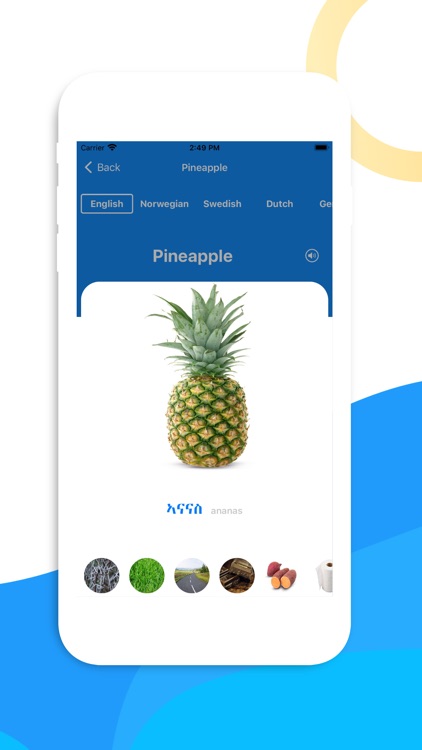Tigrinya: Learn 12 Languages screenshot-3