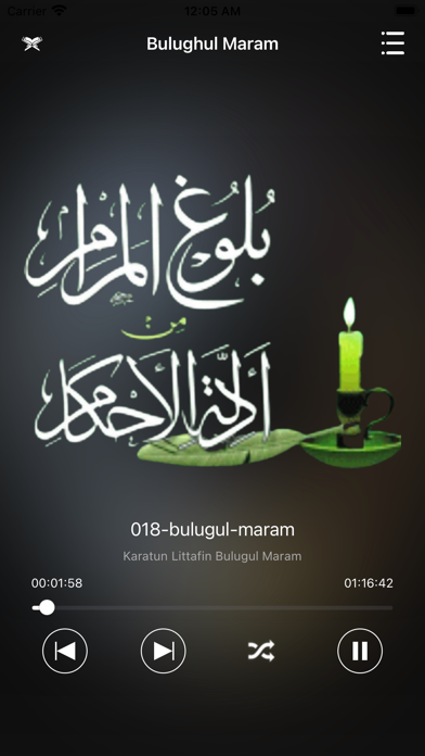 Bulughul Maram Hausa Screenshot