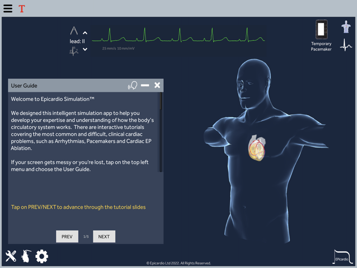 Epicardio Heart Simulator