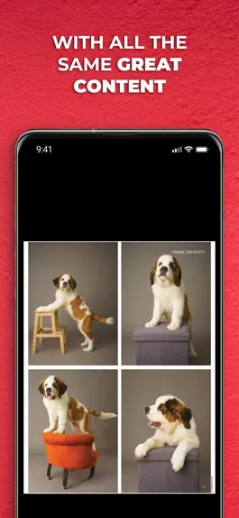 Game screenshot Digital Photographer Monthly hack