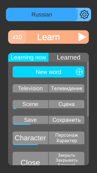 Simple Vocabulary Screenshot