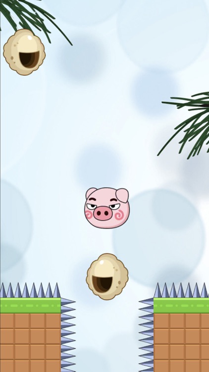 Save The Pig Draw Lines