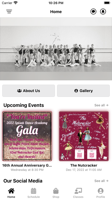 Spisak Dance Academy Screenshot