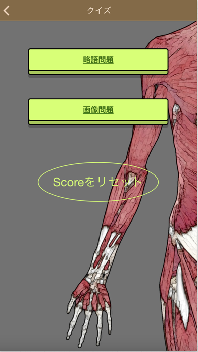 肉学(上肢) screenshot1