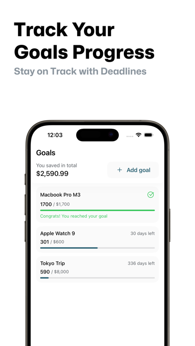 Expensaro: Finance Diary Screenshot